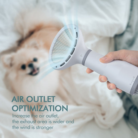 Pet dog hair dryer and grooming slicker brush with bass noise reduction 2-speed settings and stainless steel comb in white