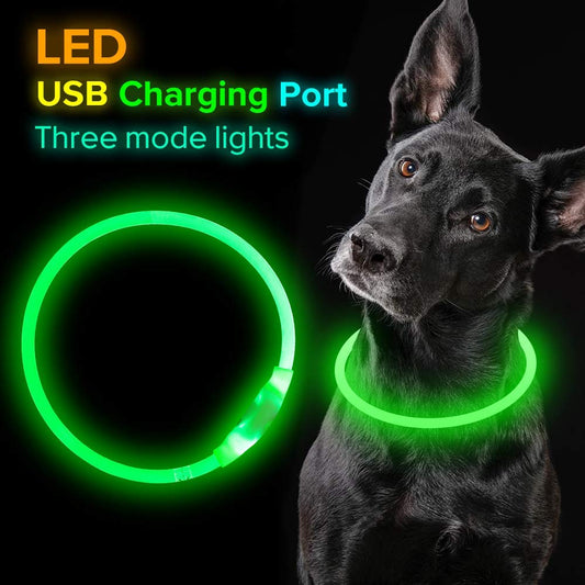 USB rechargeable LED optical-fibre glowing dog safety collar for night walks in white showing full collar illumination