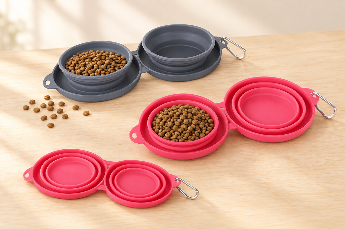 The Best Way to Feed and Water Your Dog on a Walk (Without Carrying a Bowl)