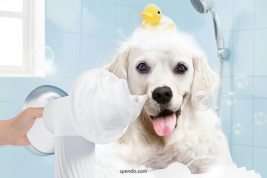 What's the Easiest Way to Wash a Dog at Home?