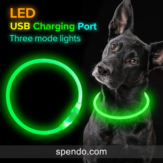 LED Dog Collar for Night Walks: Is It Worth It?