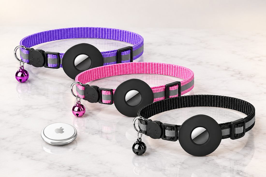 The Best Way to Use an AirTag on Your Cat or Dog (Without a Bulky Clip-On)
