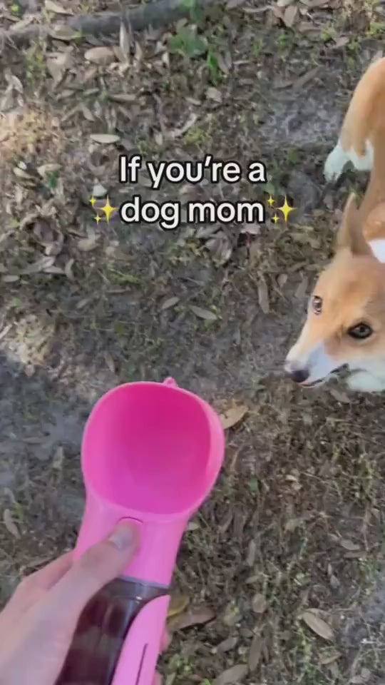 1.mp4